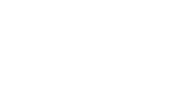 The Social Connection logo