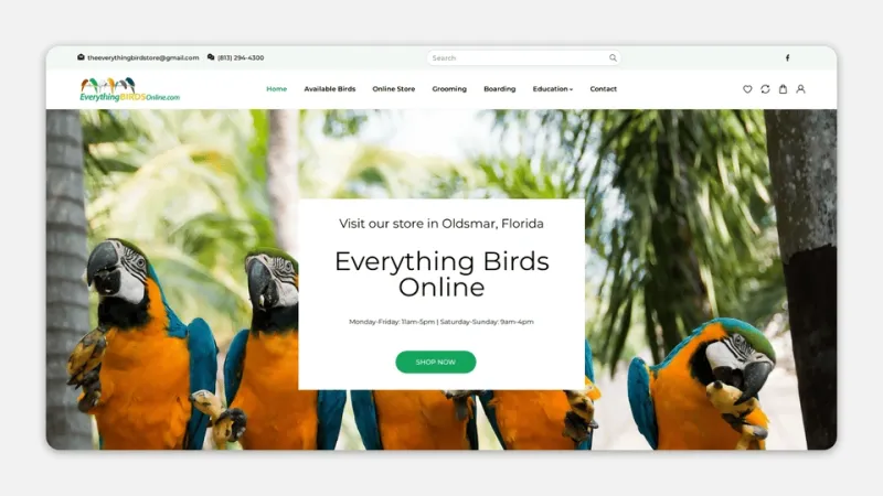 Everything Birds